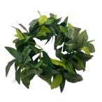 Kapaliliマイレハク(ヘッドバンド)（微妙に変わりました） FH118