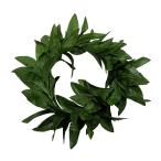 Aloha мой re Haku ( головная повязка ) темно-зеленый /FH158