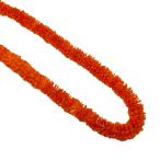  специальная цена! Royal ili Murray длинный orange FL325B