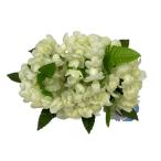 [ специальная цена ]pikake волосы - зажим (.. цвет. )/HP243B