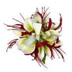 [ специальная цена ]Kapalili Magno задний аксессуары для волос белый / номер товара HP460