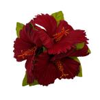 KapaliliDX гибискус волосы - зажим красный 3P/ номер товара HP464