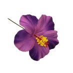  специальная цена!11cm/ гибискус пена pick / лиловый / номер товара TF181