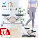 ステッパー ツイストステッパー 5年保証 くすみカラー ダイエット 静音 エアロライフ コアビクサー エクササイズ 有酸素運動 ひねり dr-3880 爆買