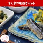 さんまの塩焼きセット(B-3)冷凍 弁当 宅配 おかず 惣菜 健康 弁当 カロリー 塩分 高血圧 メタボ からだデリ 味の富士山