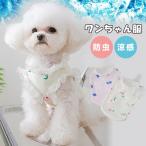 全品Point10倍!最大倍率50...