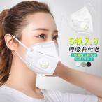 ●全品ポイント10倍！最大倍率14.5%●5枚入り KN95マスク 立体構造 呼吸弁付き 使い捨てマスク 防塵 5層構造 不織布マスク 男女兼用 飛沫