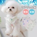 全品Point10倍!最大倍率50...