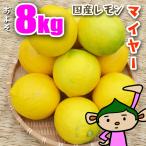 マイヤーレモン8kgサイズミックス...