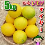 マイヤーレモン5kgサイズミックス...