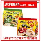 うまかっちゃん 10食セット 熊本香