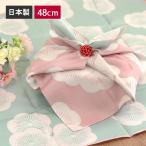 風呂敷 お弁当箱 用 伊砂文様 両面ふろしき 梅 ミズイロ×ベージュ 約48cm 日本製 国産