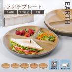 ショッピング皿 皿 プレート 食洗機対応 電子レンジ対応 日本製 木目調 抗菌ランチプレート アースカラー くすみカラー 食器 EARTH 木目