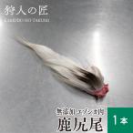 [ для домашних животных / Hokkaido . внутри производство ]ezo оленина . хвост 1 шт. [ezo олень мясо /.. оленина /.. только мясо / корм для собак ]