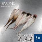 [ для домашних животных / Hokkaido . внутри производство ]ezo оленина . хвост 5шт.@[ezo олень мясо /.. оленина /.. только мясо / корм для собак ]