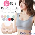 ショッピング大きい Karly Shop シームレスブラ ナイトブラ 盛れる ブラジャー ノンワイヤー シームレス ブラ 大きいサイズ 小さいサイズ パッド付き 脇高 フリーカット as01