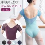 バレエ レオタード 大人 半袖 袖あり メッシュ パッド入れ バストポケット 大きいサイズ 光沢 透け感 おしゃれ ツルツル S M L LL 3L 4L 黒 紫 水色 紺 va2