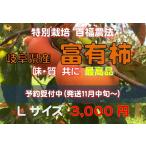 岐阜県産　富有柿　特別栽培　2021年物販売開始　１１月２０日頃〜 百福農法で育てた 【Lサイズ1段箱】 甘味　鮮度　抜群！柿の王様　..