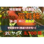 岐阜県産　富有柿　特別栽培　2021年物販売開始　１１月中旬〜発送　百福農法で育てた 【2Lサイズ1段箱】 甘味　鮮度　抜群　贈答用　..