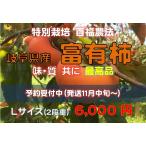 岐阜県産　富有柿　特別栽培　2021年物　販売開始　 百福農法で育てた 【Lサイズ2段箱】 甘味　鮮度　抜群！柿の王様　贈答用　お歳暮..