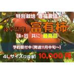 岐阜県産 富有柿 特別栽培 2021年物 販売開始 百福農法で育てた 【4Lサイズ2段箱】 甘味 鮮度 抜群!柿の王様 贈答用 お歳暮対応