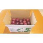 奄美パッションフルーツ（家庭用２ｋｇ）