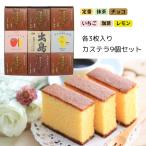 長崎カステラ 9個セット お歳暮 お