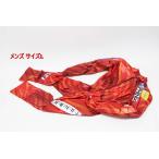 Phenix мужской лыжи одежда One-piece размер L V PHENIX FIS для соревнований уличный Phoenix снег R2311-081