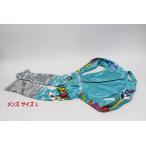 Phenix мужской лыжи одежда One-piece размер L для соревнований уличный Phoenix снег R2311-100