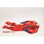 Phenix для мужчин и женщин лыжи одежда One-piece размер L для соревнований уличный Phoenix снег скользить .R2311-141