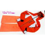  Phoenix женский лыжи одежда верх и низ в комплекте 11-4 L размер соответствует Winter Holiday Waist Pants orange жакет брюки Phenix R2408-013