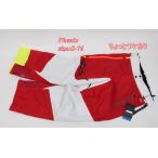  немного разделение есть Phenix Phoenix мужской лыжи брюки Phenix Team 16FW 3-D Pants S-76 размер красный × белый R2411-066