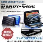 決算大処分SALE カード 整理や保管 に使える ダンディケース ジャバラ式で7ポケット ワンタッチロック式 名刺整理  免許証 保険証 アルミ DANDY-C