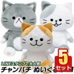 5個セット チャンパチ マメキチ くまさん ぬいぐるみ Mサイズ ふわふわ LINE スタンプ 猫 プレゼント チャンパチとあそぼ 景品 はちわれ クリスマス AI-M1