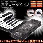 ÅÅ»Ò ¥í¡¼¥ë¥Ô¥¢¥Î 61¸°È× USB ÅÅÃÓ Ï¿²» ºÆÀ¸ ¥Ç¥â¶Ê 128¼ïÎà MIDI ¥¹¥Ô¡¼¥«¡¼Æâ¢ KZ-PU61S ¨Ǽ