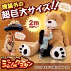 超巨大 200cm ジャンボくまタン ぬいぐるみ ベアー 熊 大きい 大人 子供 店 インテリア おしゃれ カフェ風 130cm KZ-VKUMA 予約
