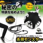 練習 ロープ バレーボール サッカー リフティング レシーブ パル タンデム 一人 サーブ 運動 MIRAIMONSTER