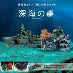 沈没船 サンゴ礁 2種類セット アクアリウム 水槽 オブジェ オーナメント 水中 テラリウム ジオラマ リアル 模型 船 おしゃれ 男前 インテリア 2-SINKAI