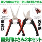 園芸用はさみ 剪定鋏 芽切鋏 2本セット 安全ロック付き はさみ 刃 軽量 果樹 庭木の剪定 盆栽剪定 生け花 2-KITCUT