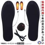 電熱インソール S 23-25cm 1足分 中敷き ヒートインソール USB加熱式 電熱ウェア 冷え対策 フットウォーマー 防寒 あったか 冬場 極暖 寒さ 防寒対策 DENSOLE-S