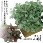 葉の束フェイクグリーン 5個セット 人工観葉植物 造花藤 緑 葉 壁掛け 吊りのインテリア飾り 人工植物 枯れない グリーン 5-TURIGURI03