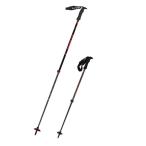  атомный лыжи paul (pole) stock CARBON FREE SQS JP AJ5005528 эластичный тип 