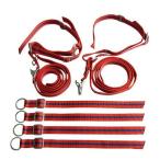  Expert ob Japan Expert type фиксация частота комплект [back][ задний Country ] альпинизм 