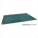 �ãϣ̣ţͣ��Ρʥ�����ޥ�� �ե�����ǥ��󥰥ƥ�ȥޥåȡ�������