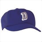  Descente (DESCENTE) задний сетчатая кепка Royal 