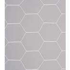 eba новый (Evernew) в общем футбольные врата сеть черепаха . модель S115