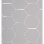 eba новый (Evernew) в общем футбольные врата сеть черепаха . модель S116