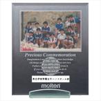 moru тонн (Molten) memorial pab зеркало ( гандбол )