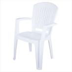 �ã��Уԣ��ɣΡ��ӣԣ��ǡʥ���ץƥ󥹥��å��� �٥��Уå����å��������ʥۥ磻�ȡ�