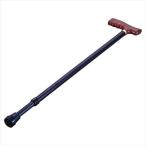 �ã��Уԣ��ɣΡ��ӣԣ��ǡʥ���ץƥ󥹥��å��� �����եƥ����ƥå�